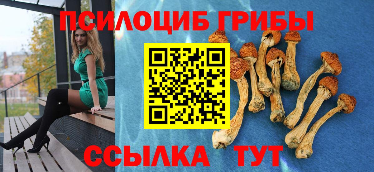 Галлюциногенные грибы Cubensis Геленджик
