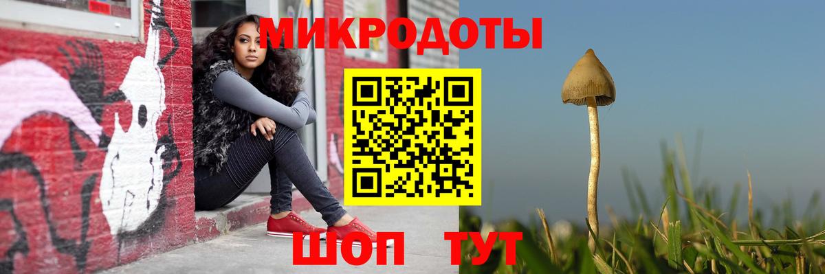 Галлюциногенные грибы GOLDEN TEACHER  Галлюциногенные грибы мухоморы  Вход с VPN  Геленджик 